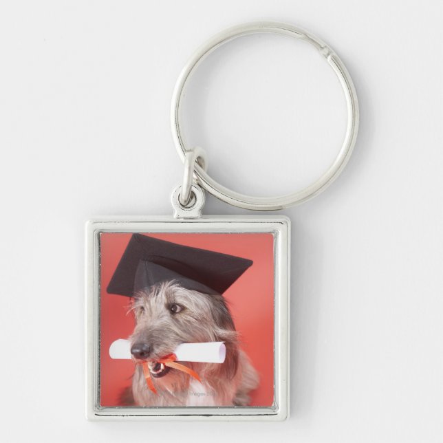 Llavero Perro con el mortarboard y el diploma (Frente)