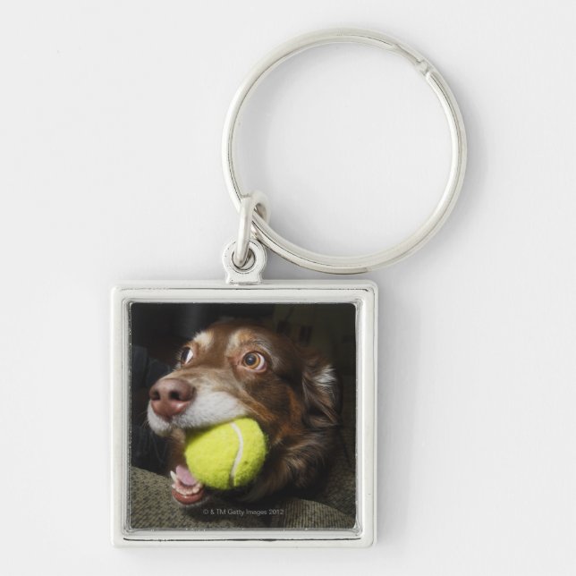 Llavero Perro con la pelota de tenis (Frente)
