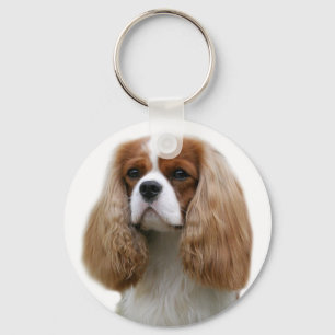 Llavero Perro de aguas de rey Charles arrogante