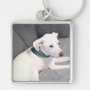 Llavero Perro de cachorro blanco lindo vestido con gris de