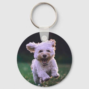 Llavero Perro de cangrejo blanco
