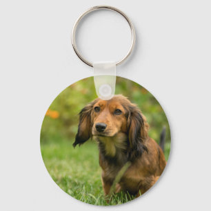 Llavero Perro de Dachshund