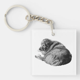 Llavero Perro de descanso sombreado inspira viajes inverna