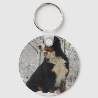 Llavero Perro de montaña de Bernese