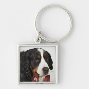 Llavero Perro de montaña de Bernese (Berner Sennenhund)