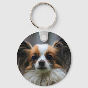 Llavero Perro de papilón