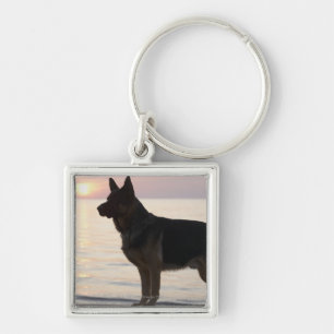 Llavero Perro de pastor alemán en la bahía georgiana,