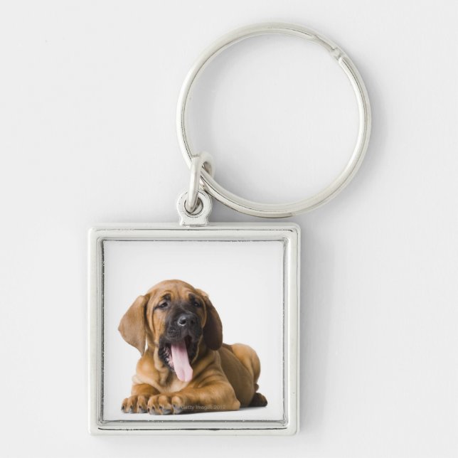Llavero Perro de perrito 2 (Frente)