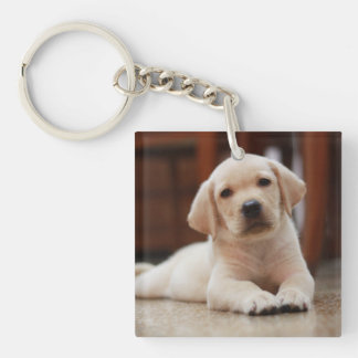 Llavero Perro de perrito amarillo de Labrador del bebé que