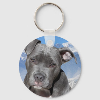 Llavero Perro de Pitbull Terrier de Estados Unidos