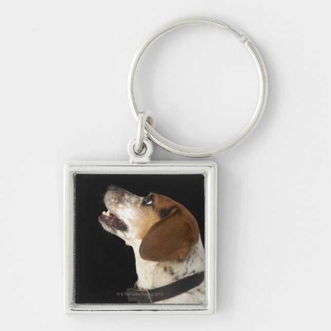 Llavero Perro del beagle con perfil negro del cuello (Frente)
