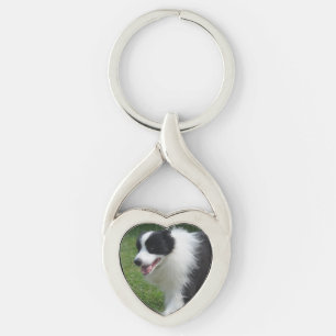 Llavero Perro del border collie