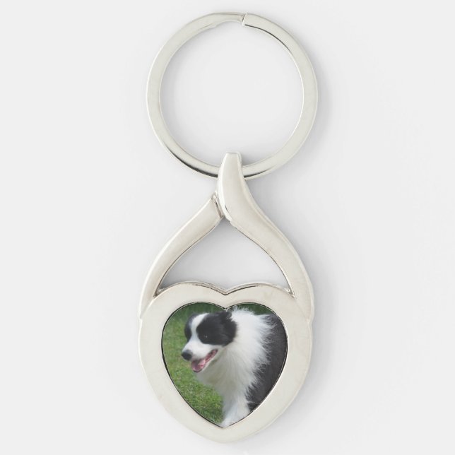 Llavero Perro del border collie (Anverso)