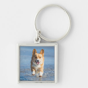 Llavero Perro del Corgi Galés del Pembroke que corre en l