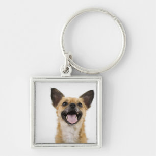 Llavero Perro del jadeo