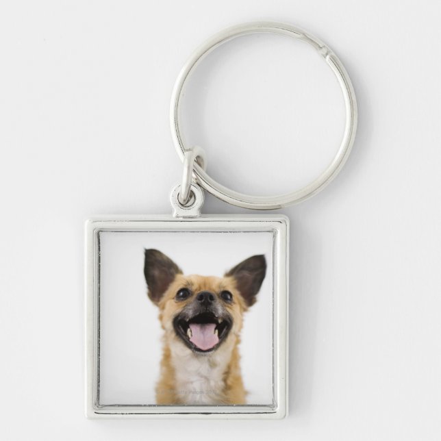 Llavero Perro del jadeo (Frente)