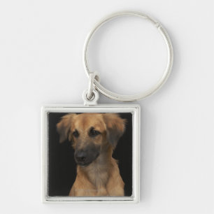 Llavero Perro del resuce de Brown con la nariz negra en