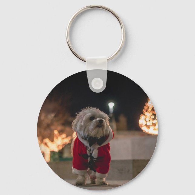 Llavero Perro disfrazado de Santa Claus (Anverso)