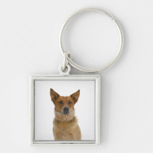 Llavero Perro en el blanco 01