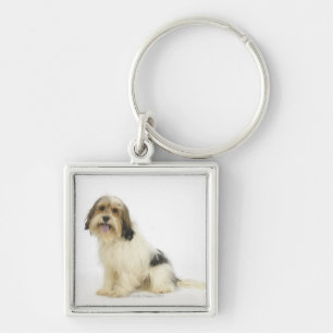 Llavero Perro en el blanco 104