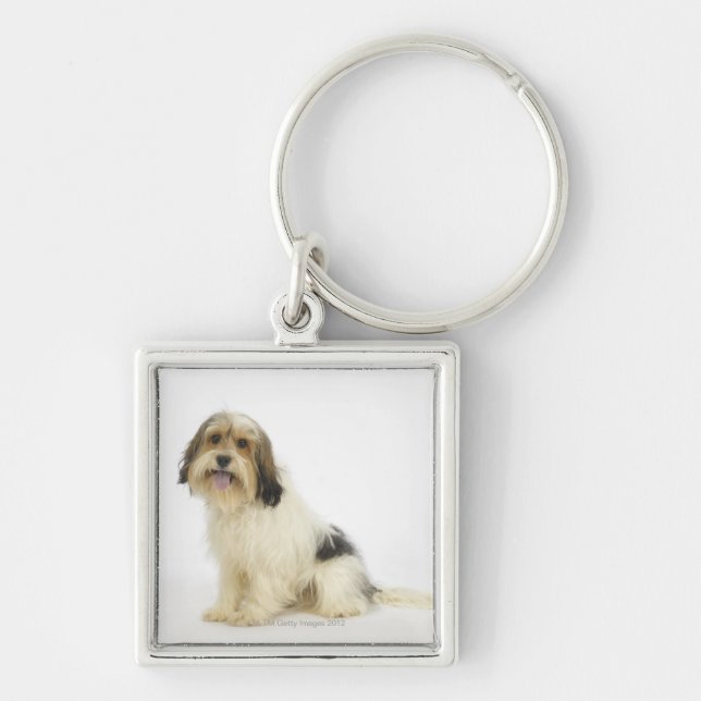 Llavero Perro en el blanco 104 (Frente)