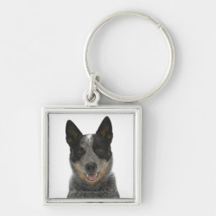 Llavero Perro en el blanco 5