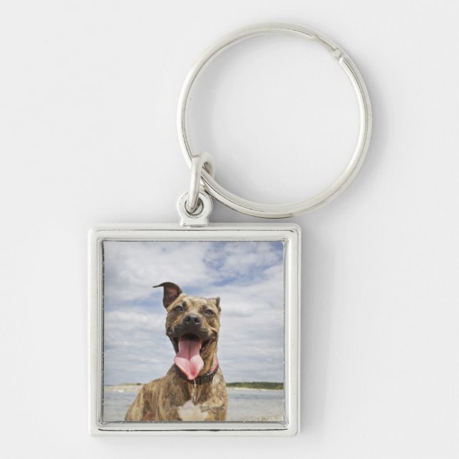 Llavero perro en la playa (Frente)