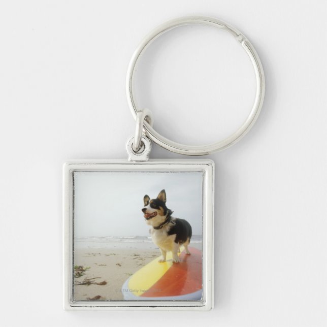 Llavero Perro en la tabla hawaiana (Frente)