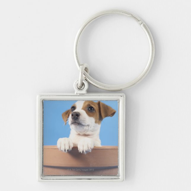 Llavero Perro en maceta (Frente)