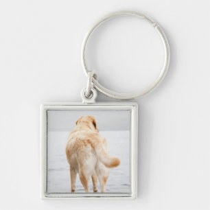 Llavero Perro en muelle