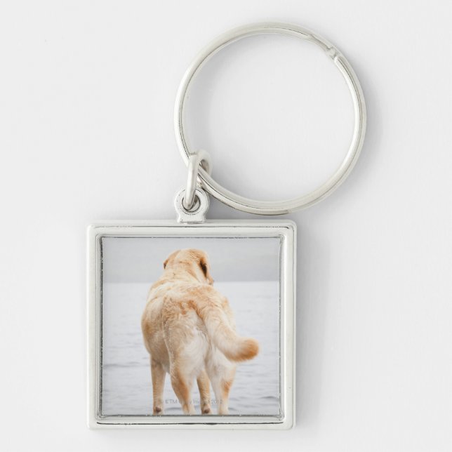 Llavero Perro en muelle (Frente)