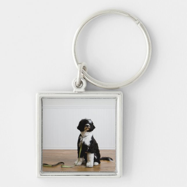 Llavero perro en un correo (Frente)