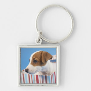Llavero Perro en una caja de regalo