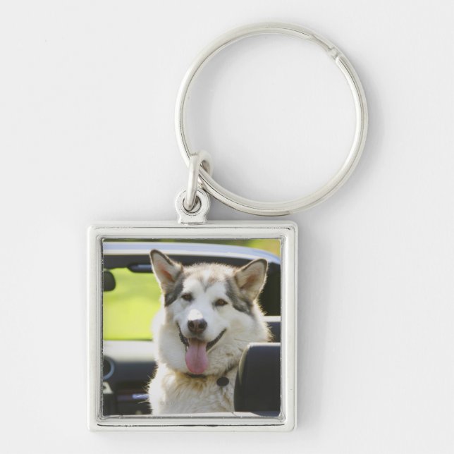 Llavero Perro fornido del convertible (Frente)