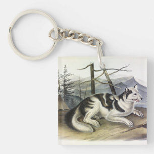Llavero Perro hare-indio (perro del río Mackenzie) de Audu
