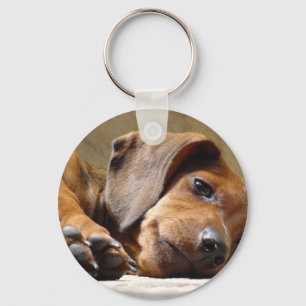 Llavero Perro lindo