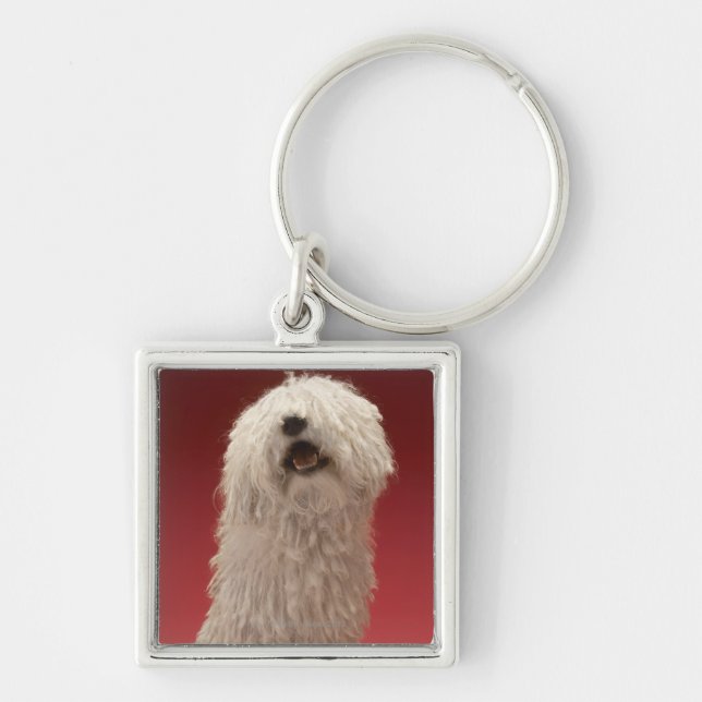 Llavero Perro lindo de Komondor (Frente)