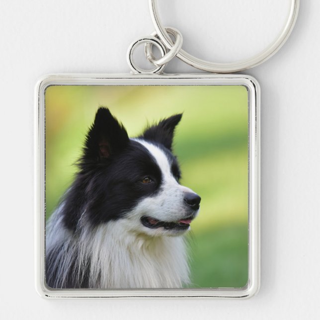 Llavero Perro Magyar Vizsla (Frente)