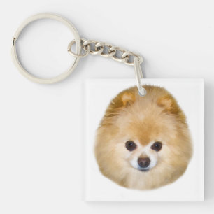 Llavero Perro marrón y pomerano blanco