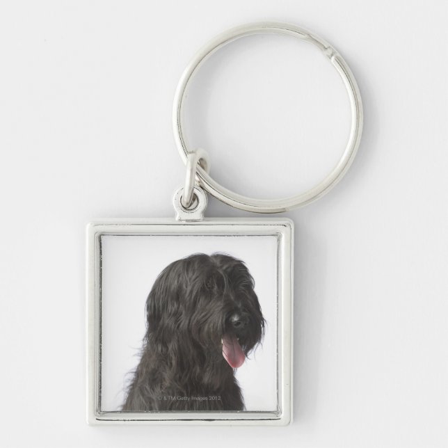 Llavero Perro negro, Briard (Frente)