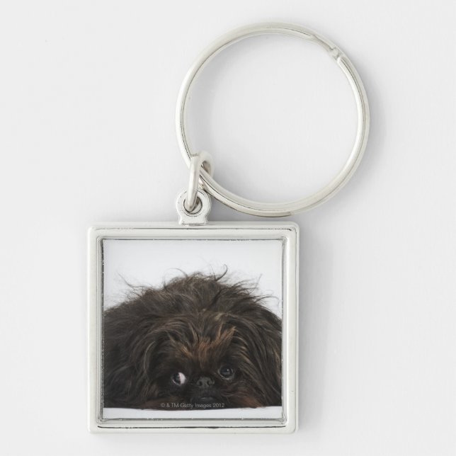 Llavero Perro negro de Pekingese que se acuesta (Frente)