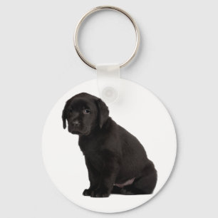 Llavero Perro negro del labrador