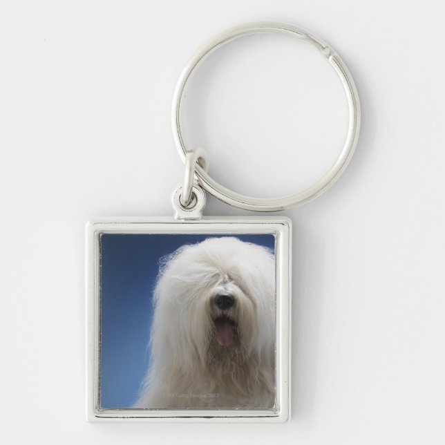 Llavero Perro pastor (Frente)