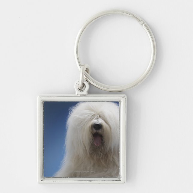 Llavero Perro pastor (Frente)