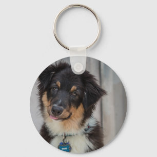 Llavero Perro pastor australiano