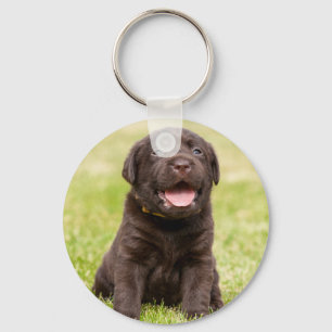 Llavero Perro perrito