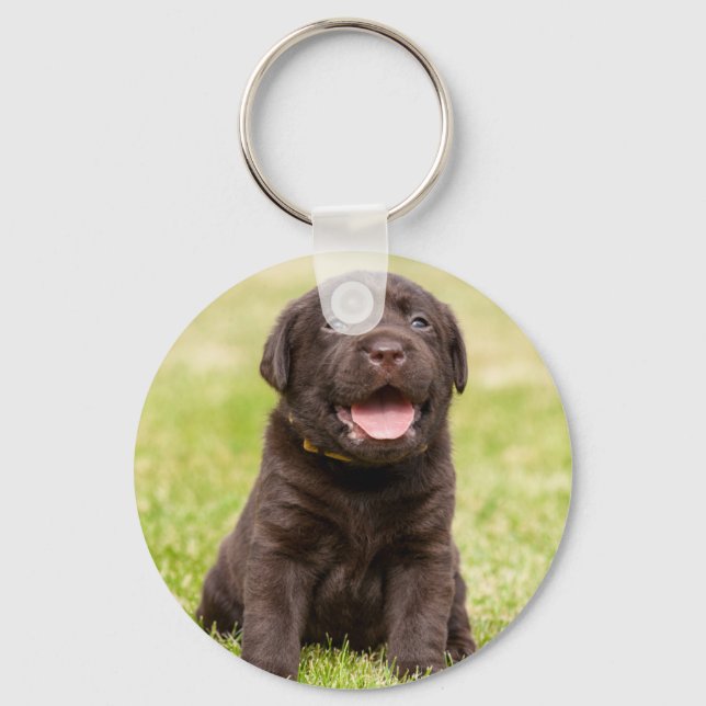 Llavero Perro perrito (Anverso)