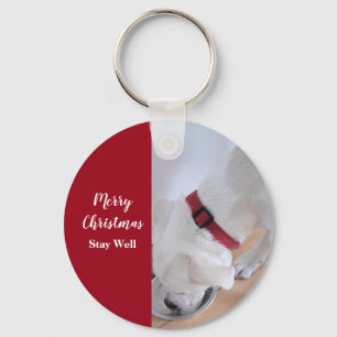 Llavero Perro picante blanco lindo Navidades de agua potab