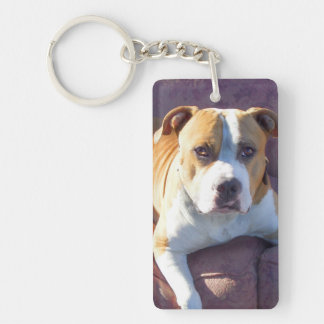 Llavero Perro Pitbull
