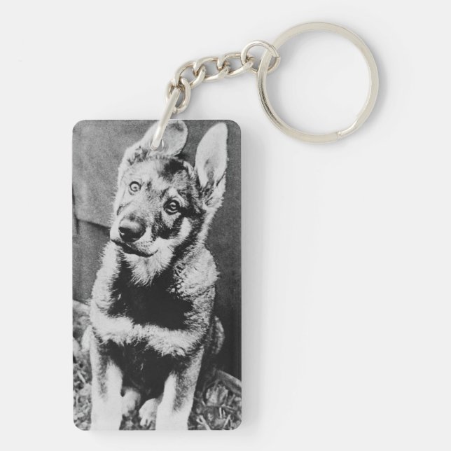 Llavero Perro pooch (Atrás)
